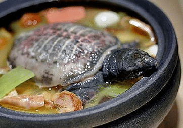 черепаховый суп провинции Аньхой